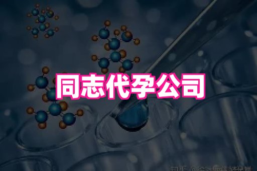 海口助孕网站 1