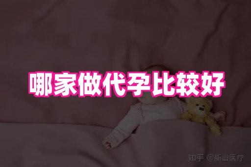 海口助孕网站 4